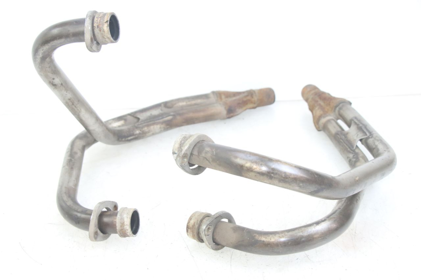 photo de COLLECTEUR YAMAHA XJN DIVERSION 600 (2000 - 2003)