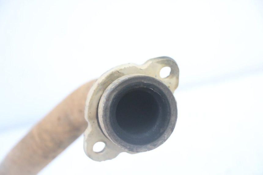 photo de COLLECTEUR YAMAHA YFM R RAPTOR 250 (2008 - 2014)