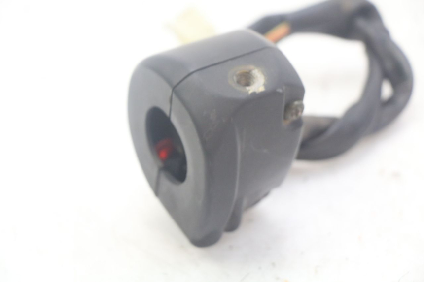 photo de COMMODO DROIT DOLPHIN PYGMY 1 (2020 - 2024)