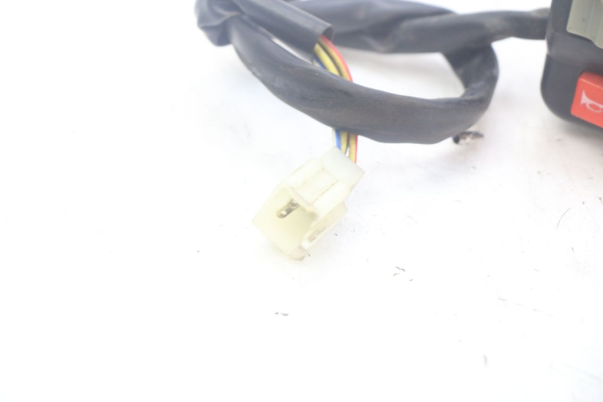 photo de COMMODO DROIT DOLPHIN PYGMY 1 (2020 - 2024)