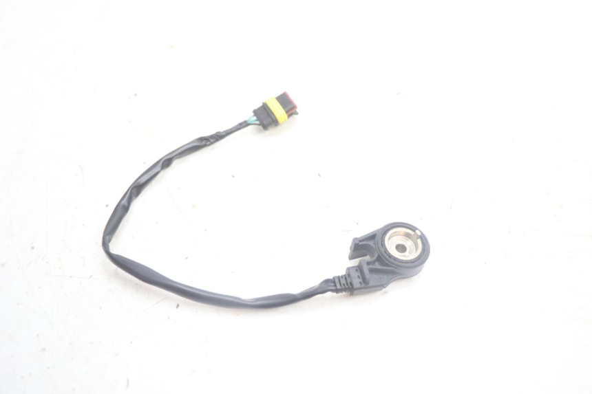 photo de COUPE CONTACT BEQUILLE JM MOTORS R-MAX TECH 50 (2024 - 2026) - Autre angle de vue
