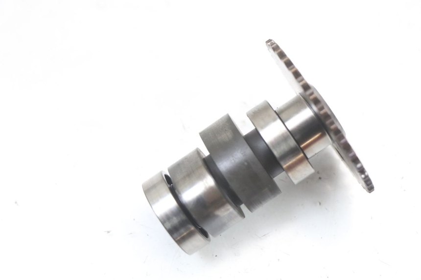 photo de Cylinder head DAELIM VL DAYSTAR 125 (2000 - 2011)