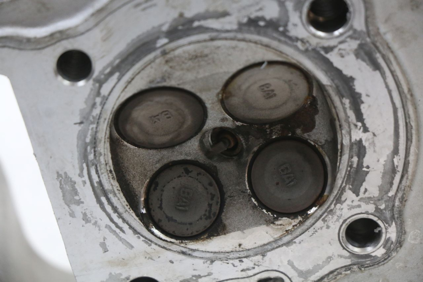photo de Cylinder head DAELIM VL DAYSTAR 125 (2000 - 2011)