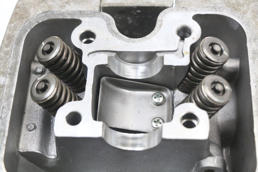 photo de Cylinder head DAELIM VL DAYSTAR 125 (2000 - 2011)