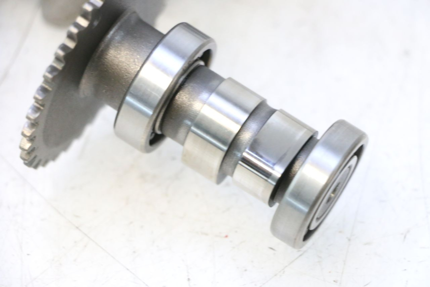 photo de CULASSE JM MOTORS EVOLIS 4T 50 (2018 - 2022) - Angle alternatif