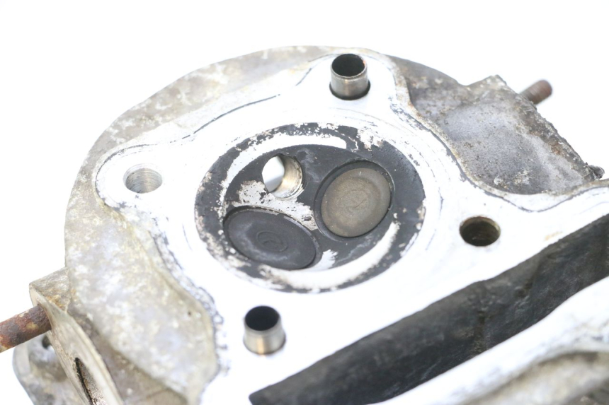 photo de CULASSE JM MOTORS F45i 4T 50 (2020 - 2023) - Inspection visuelle