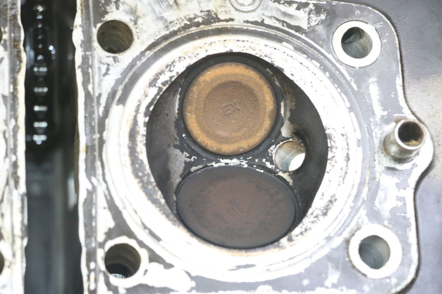 photo de CULASSE SUZUKI GS GSE 500 (2001 - 2003)