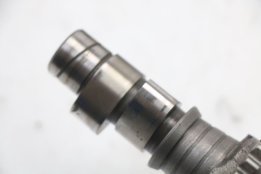 photo de CULASSE REGAL RAPTOR RAXTER 2 125 (2007 - 2015)