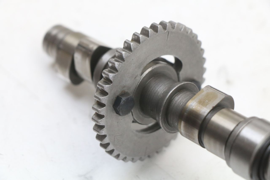 photo de CULASSE REGAL RAPTOR RAXTER 2 125 (2007 - 2015)