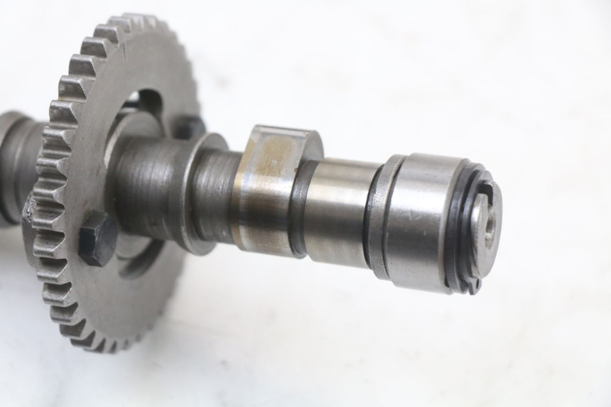 photo de CULASSE REGAL RAPTOR RAXTER 2 125 (2007 - 2015)