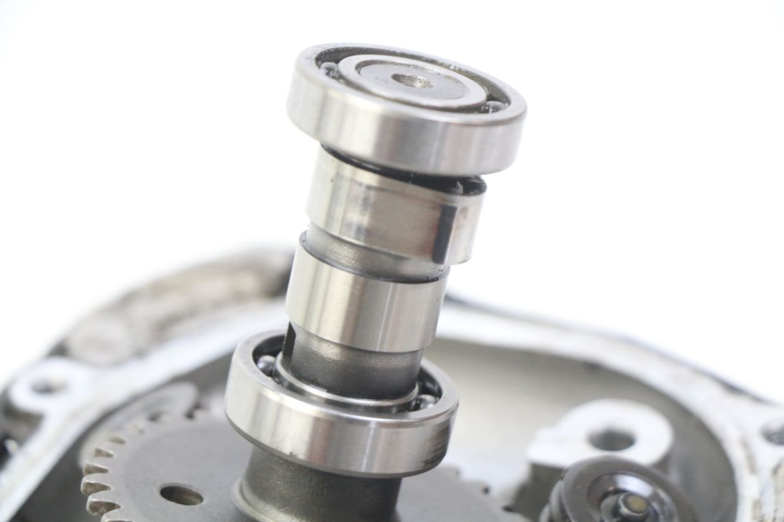 photo de CULASSE TNT MOTOR ROMA 10' 4T 50 (2019 - 2022)