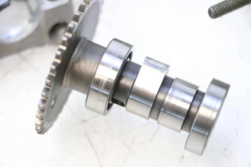 photo de CULASSE JM MOTORS SANTANA 50 (2014 - 2023) - Focus structure