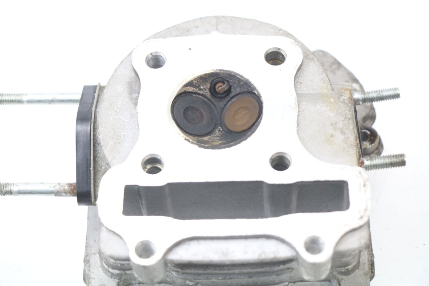 photo de CULASSE JM MOTORS SUNNY 50 (2017 - 2020)