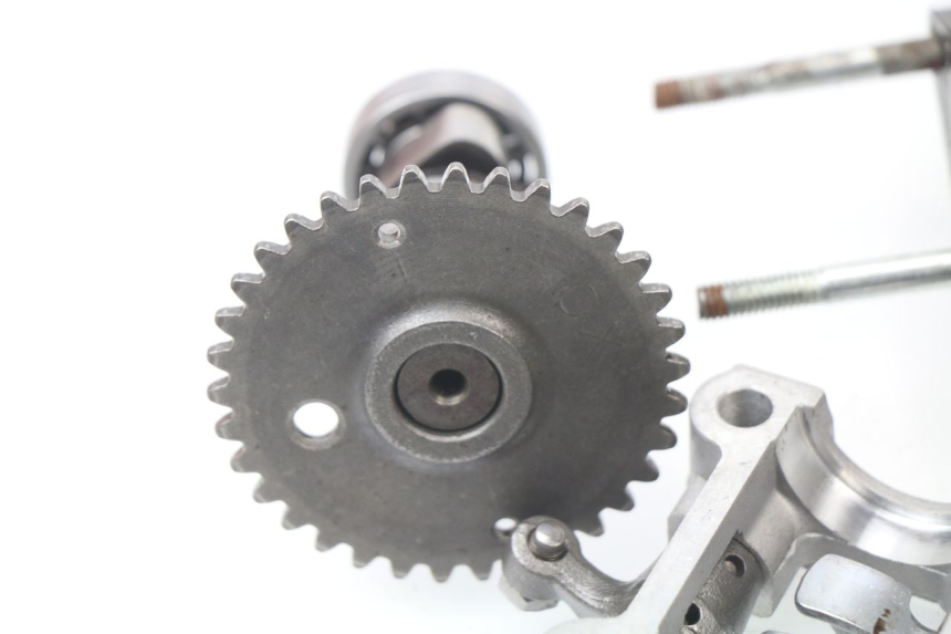 photo de CULASSE JM MOTORS SUNNY 50 (2017 - 2020)