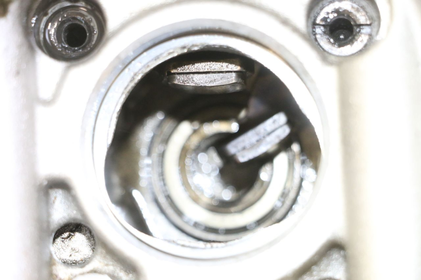 photo de CULASSE YAMAHA YFM R RAPTOR 250 (2008 - 2014)