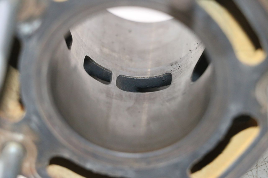 photo de CYLINDRE PISTON HONDA FES PANTHEON 2T 125 (1998 - 2002) - État de surface