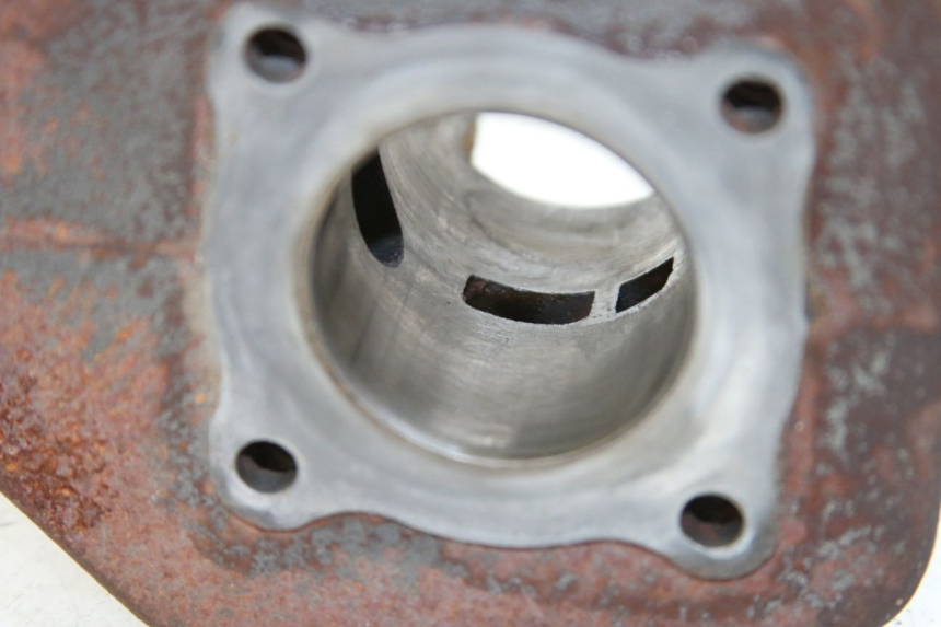 photo de CYLINDRE PISTON PEUGEOT LUDIX 50 (2005 - 2007)