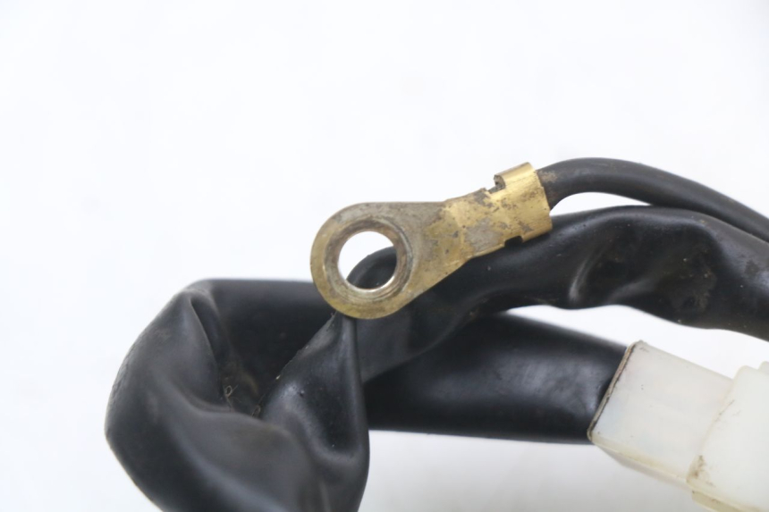 photo de DEMARREUR TNT MOTOR ROMA 10' 2T 50 (2011 - 2018)