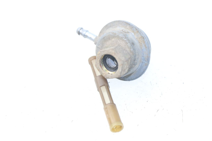 photo de DEPRESSION RESERVOIR PGO BIG MAX 50 (2001 - 2009)