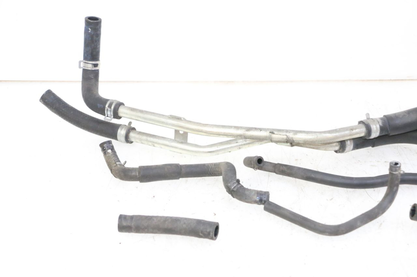 photo de DURITE RADIATEUR HONDA FORZA ABS 300 (2013 - 2019)