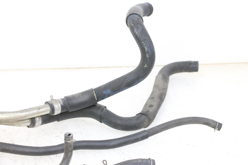 photo de DURITE RADIATEUR HONDA FORZA ABS 300 (2013 - 2019)