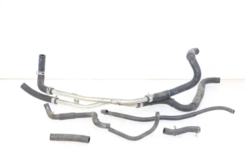 photo de DURITE RADIATEUR HONDA FORZA ABS 300 (2013 - 2019)