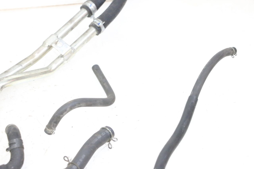 photo de DURITE RADIATEUR HONDA FORZA ABS 300 (2013 - 2019)