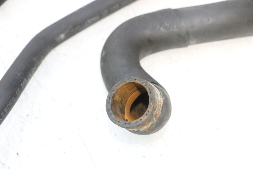 photo de DURITE RADIATEUR GILERA GP 800 (2007 - 2013) - Détail de la pièce