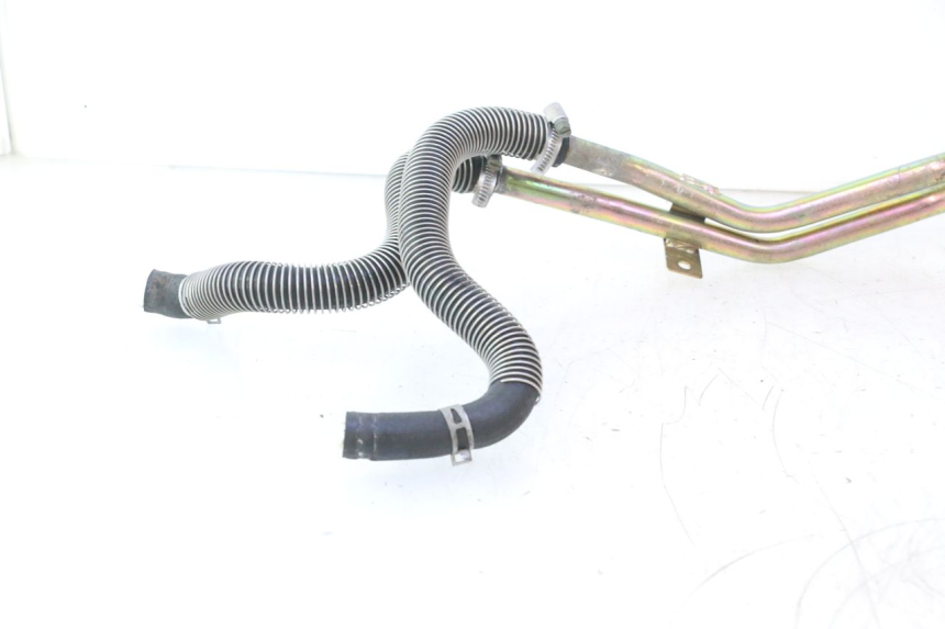 photo de DURITE RADIATEUR HONDA SH 125 (2001 - 2003) - Vue d’ensemble
