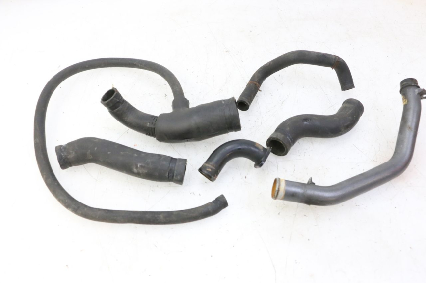 photo de DURITE RADIATEUR TRIUMPH SPRINT 900 (1995 - 1998)