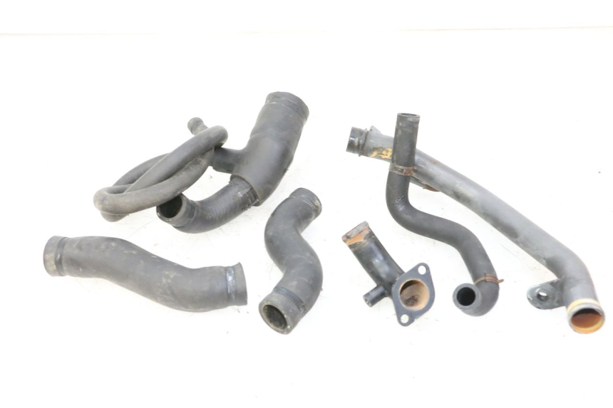 photo de DURITE RADIATEUR TRIUMPH SPRINT 900 (1995 - 1998)