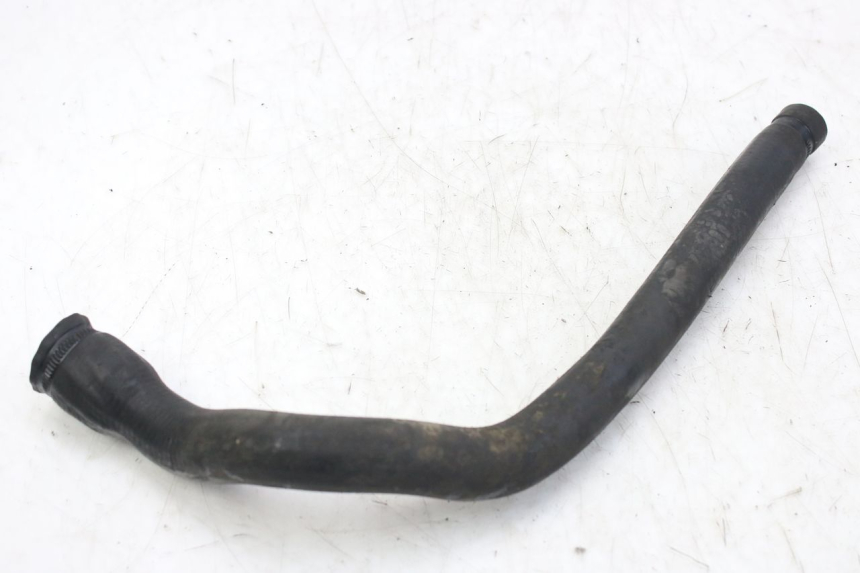 photo de DURITE RADIATEUR TRIUMPH SPRINT ST 955 (1999 - 2001)
