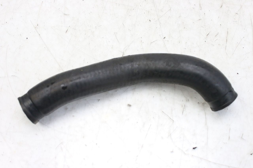 photo de DURITE RADIATEUR TRIUMPH SPRINT ST 955 (1999 - 2001)