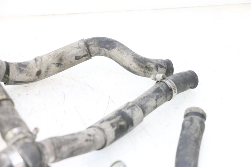 photo de DURITE RADIATEUR HONDA XRV AFRICA TWIN 750 (1990 - 1992) - Vue produit