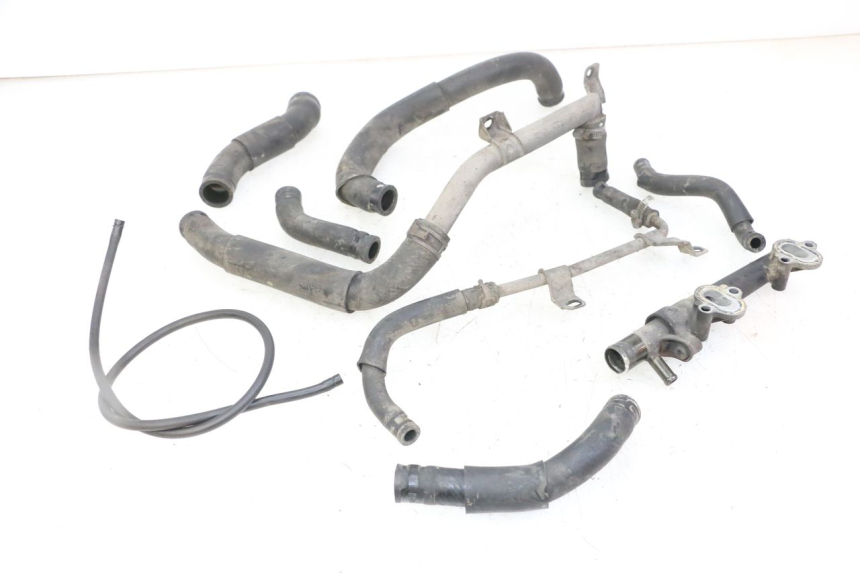 photo de DURITE RADIATEUR YAMAHA FZS FAZER 600 (2001 - 2003)