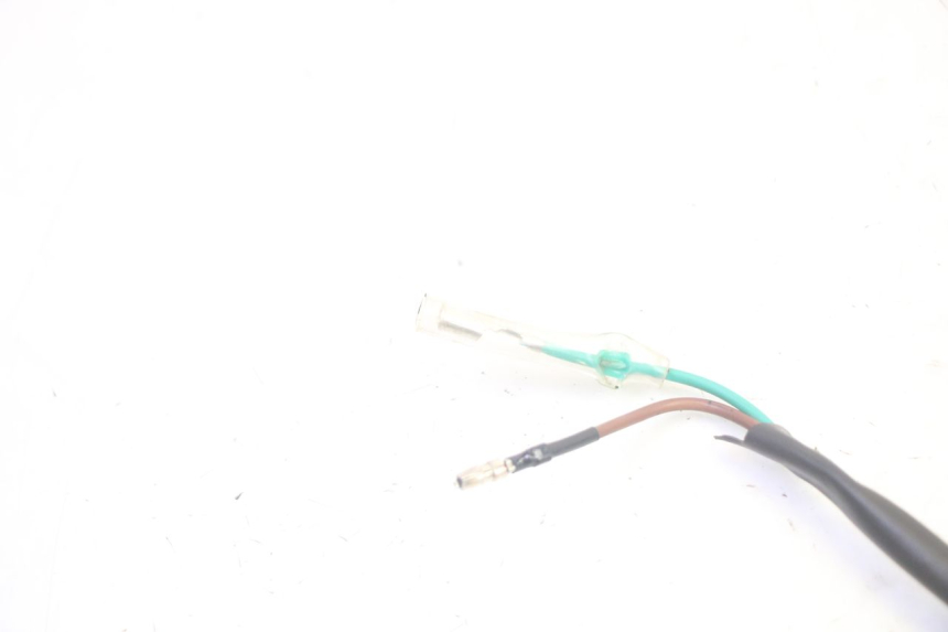 photo de ECLAIRAGE DE PLAQUE SYM CROX 4T 50 (2016 - 2023) - Gros plan technique