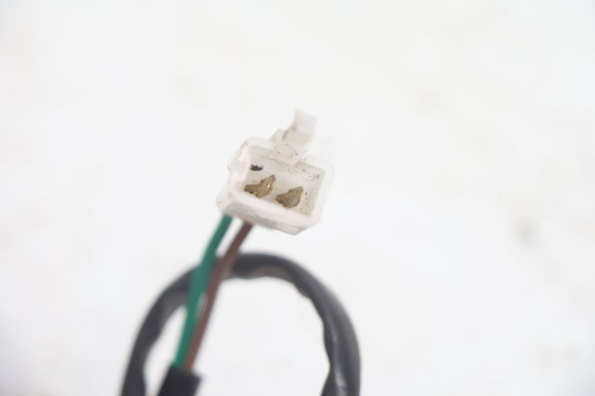 photo de ECLAIRAGE DE PLAQUE JM MOTORS EVOLIS 4T 50 (2018 - 2022) - Gros plan technique