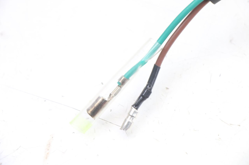 photo de ECLAIRAGE DE PLAQUE PEUGEOT TWEET 4T 50 (2023 - 2025)