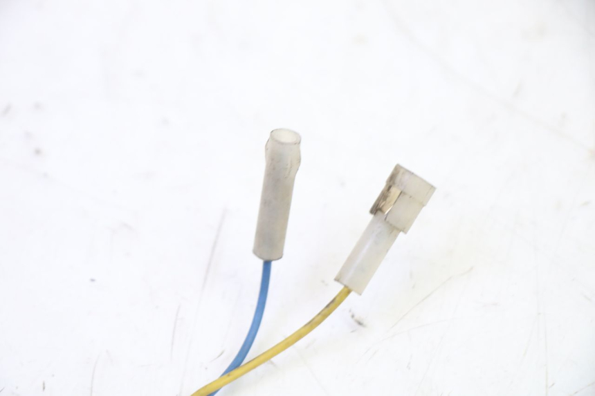 photo de ECLAIRAGE DE PLAQUE APRILIA SR R 2T LC 50 (2018 - 2021)