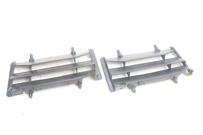 photo de ECOPE RADIATEUR RIEJU MRT PRO SUPERMOTARD 50 (2007 - 2018) - Vue principale