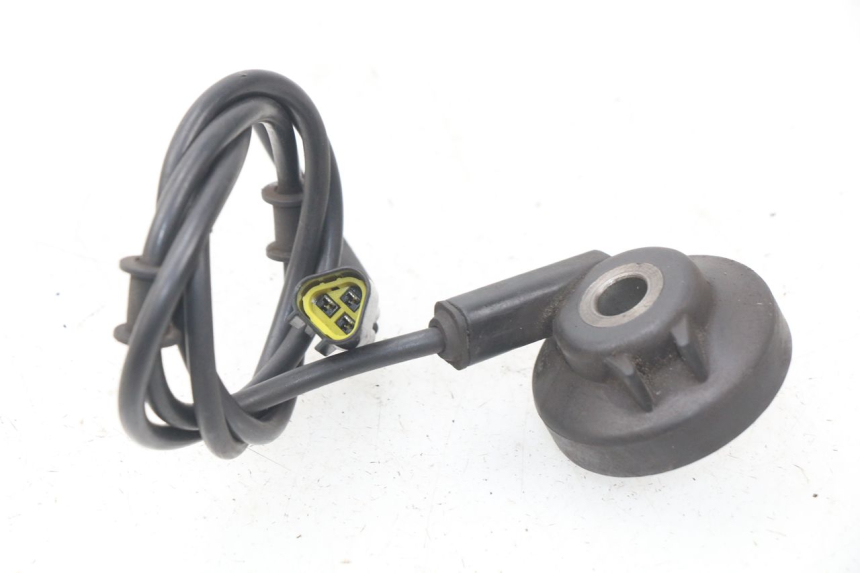 photo de ENTRAINEUR COMPTEUR JM MOTORS F45i 4T 50 (2020 - 2023)