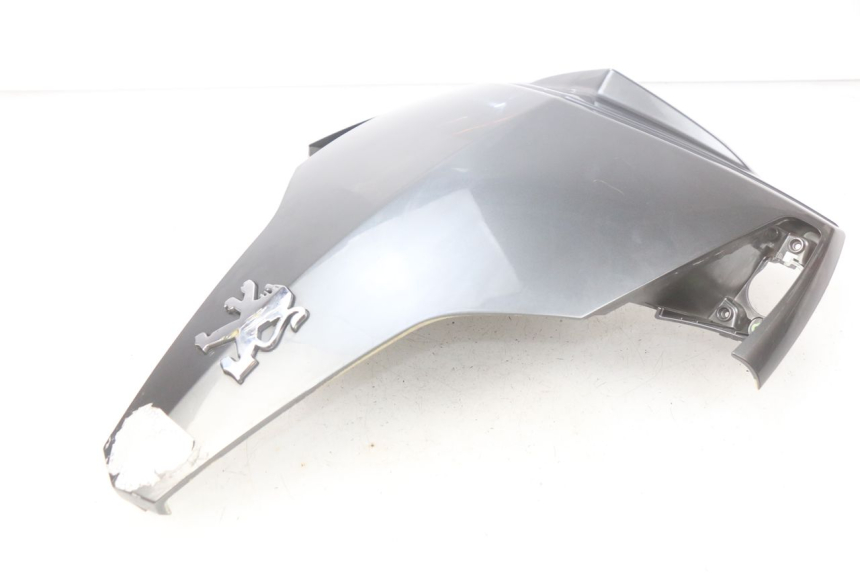 photo de FACE AVANT SUPERIEUR PEUGEOT GEOPOLIS 400 (2007 - 2013)