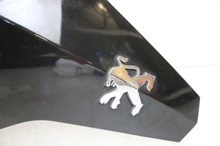 photo de FACE AVANT SUPERIEUR  PEUGEOT GEOPOLIS RS 125 (2007 - 2009)