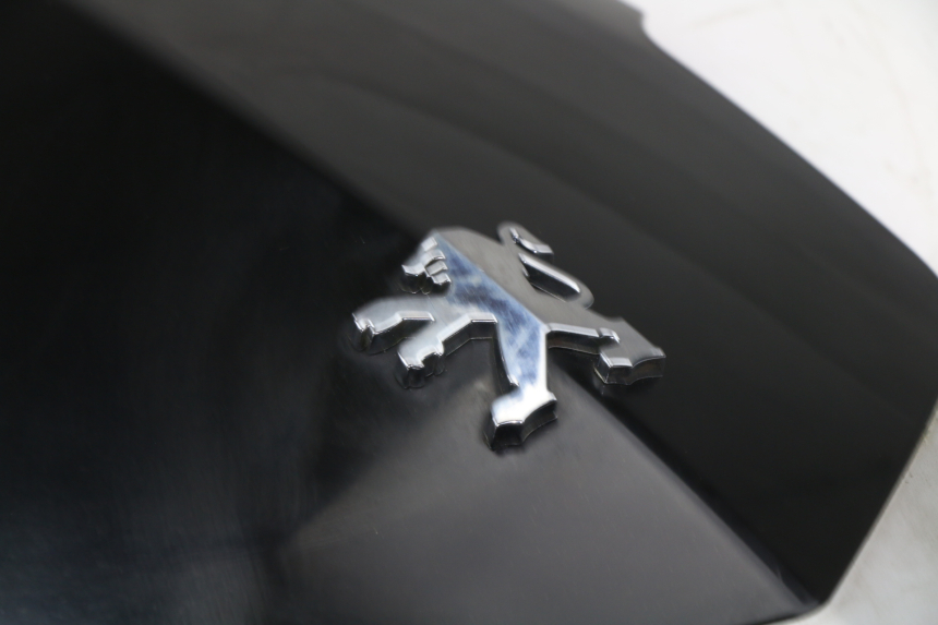 photo de FACE AVANT SUPERIEUR PEUGEOT VIVACITY NEW 4T 50 (2008 - 2017)