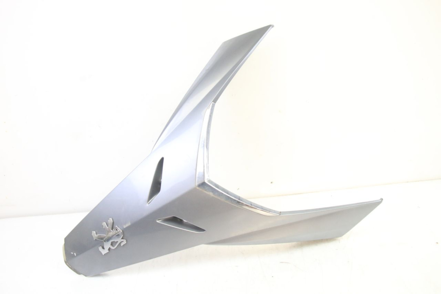 photo de FACE AVANT SUPERIEUR  PEUGEOT SATELIS 250 (2006 - 2012)