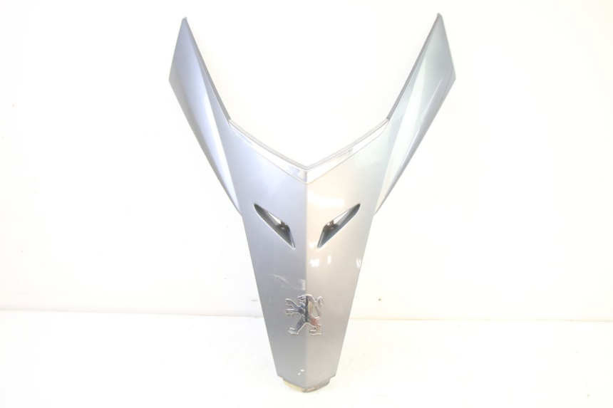 photo de FACE AVANT SUPERIEUR  PEUGEOT SATELIS 250 (2006 - 2012)