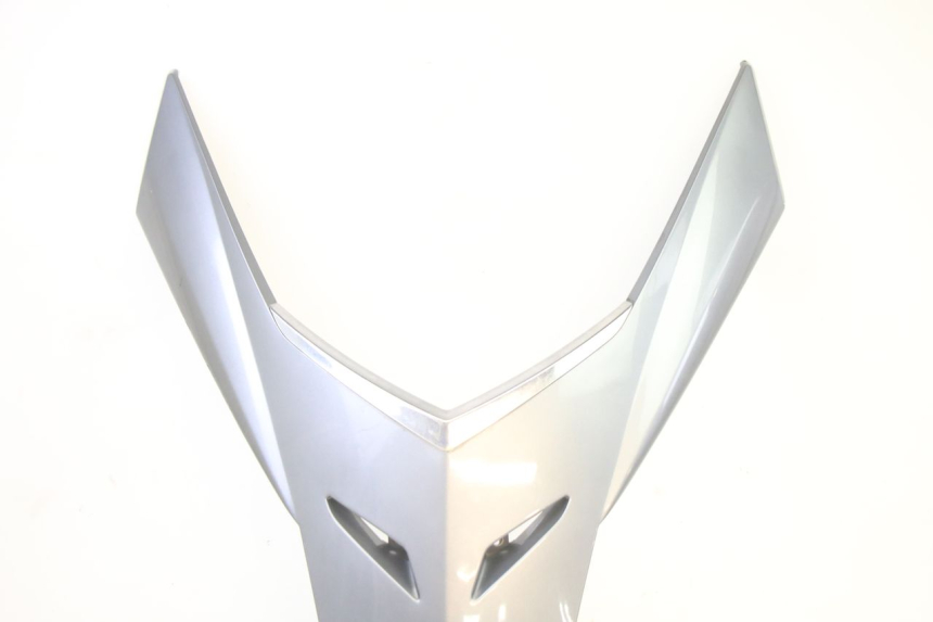 photo de FACE AVANT SUPERIEUR  PEUGEOT SATELIS 250 (2006 - 2012)
