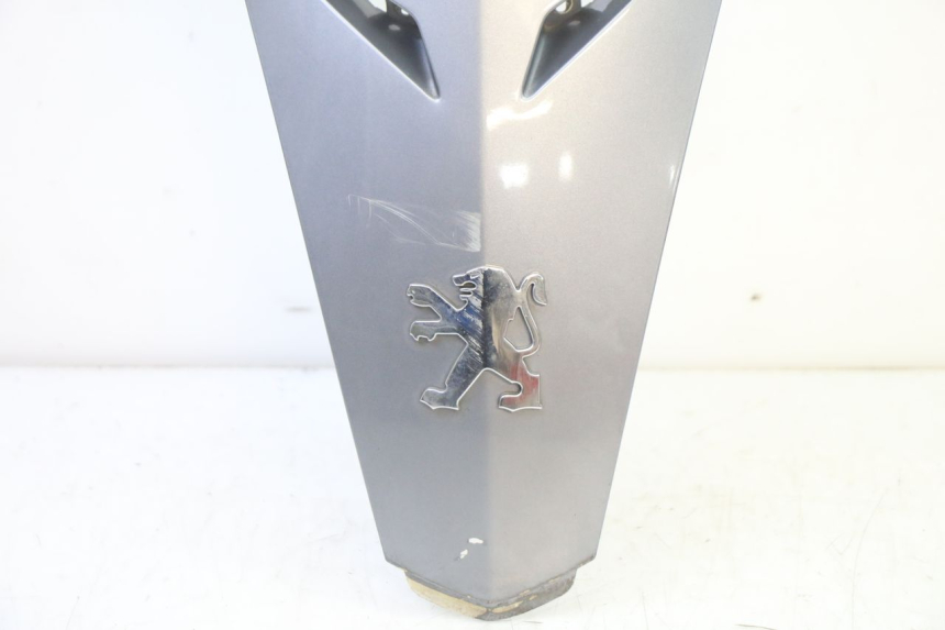 photo de FACE AVANT SUPERIEUR  PEUGEOT SATELIS 250 (2006 - 2012)