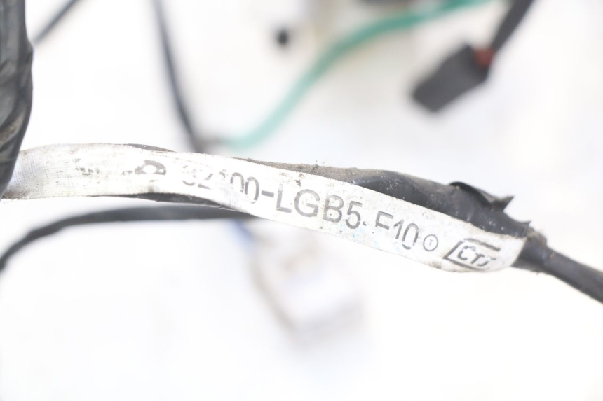 photo de FAISCEAU KYMCO AGILITY RS 4T 50 (2009 - 2013)