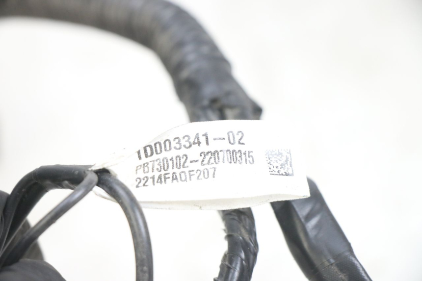 photo de FAISCEAU APRILIA SXR 50 (2021 - 2023)